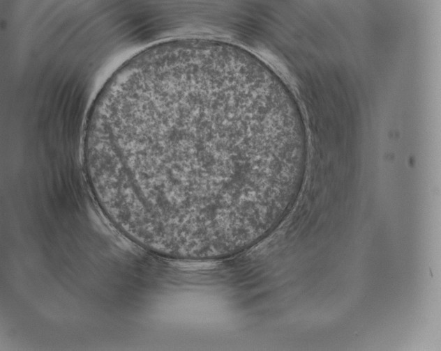 X0000087371296200705181207