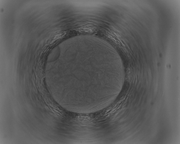 X0000087371297200705181206