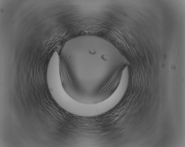 X0000087371298200705181206