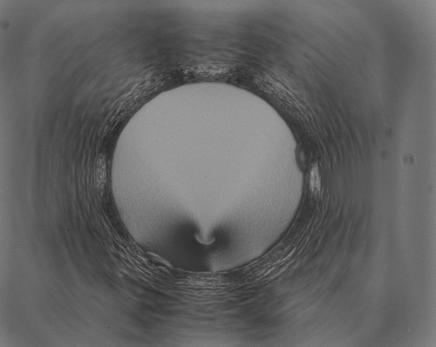 X0000087371299200705181206