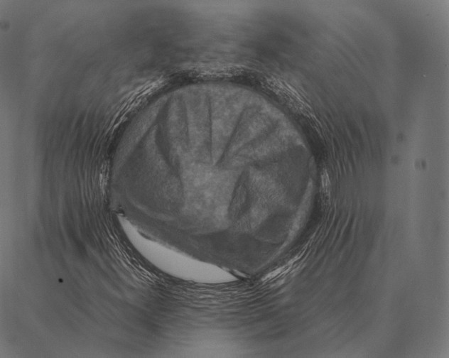 X0000087371300200705181206