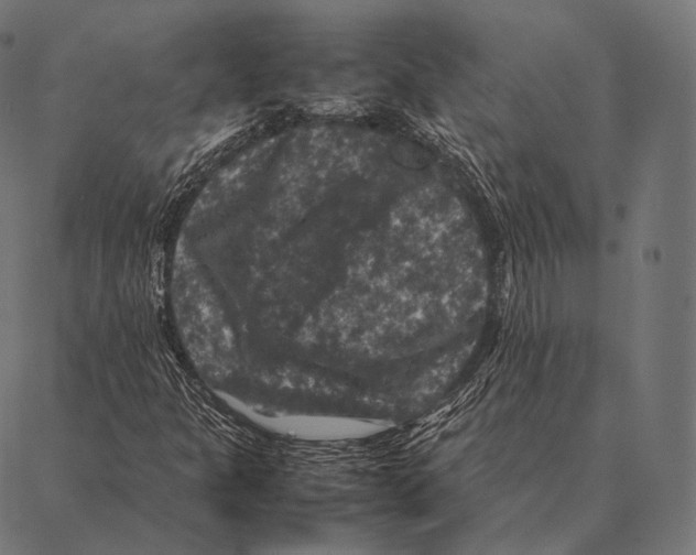 X0000087371301200705181206