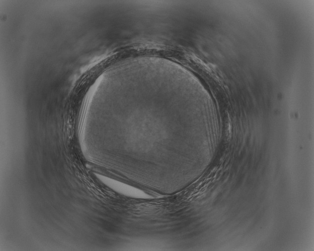 X0000087371303200705181206