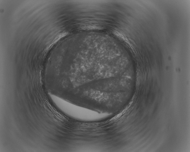 X0000087371305200705181206