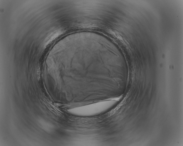 X0000087371306200705181206