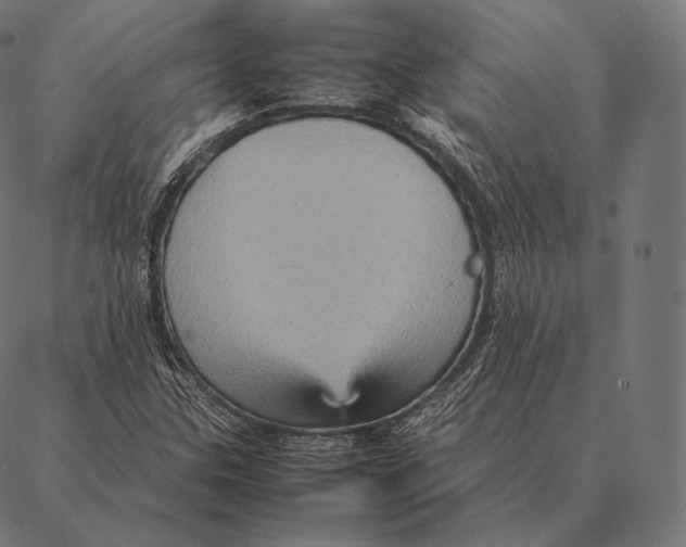 X0000087371307200705181206