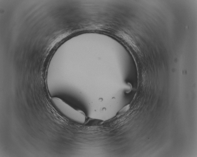 X0000087371308200705181206