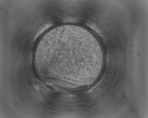 X0000087371309200705181206