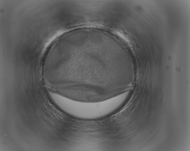 X0000087371310200705181206