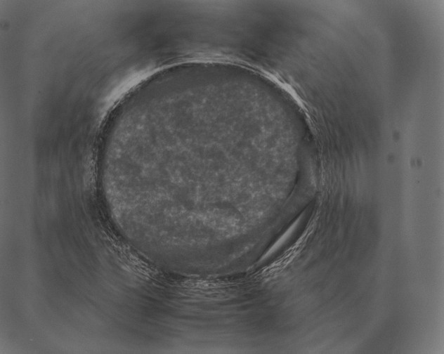 X0000087371311200705181206