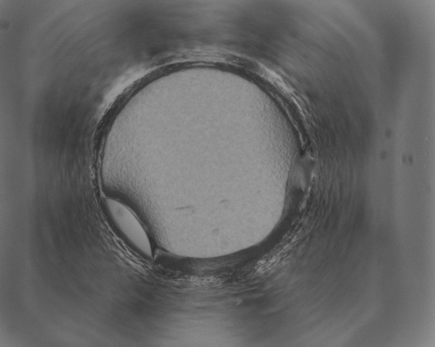 X0000087371312200705181206