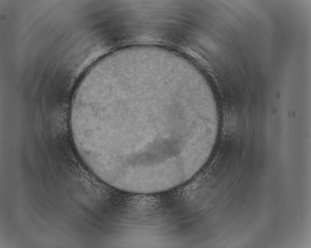 X0000087371314200705181206