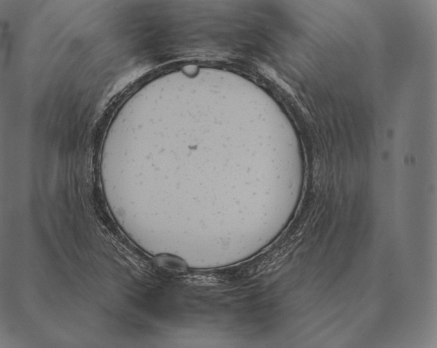 X0000087371315200705181206