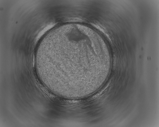 X0000087371317200705181206