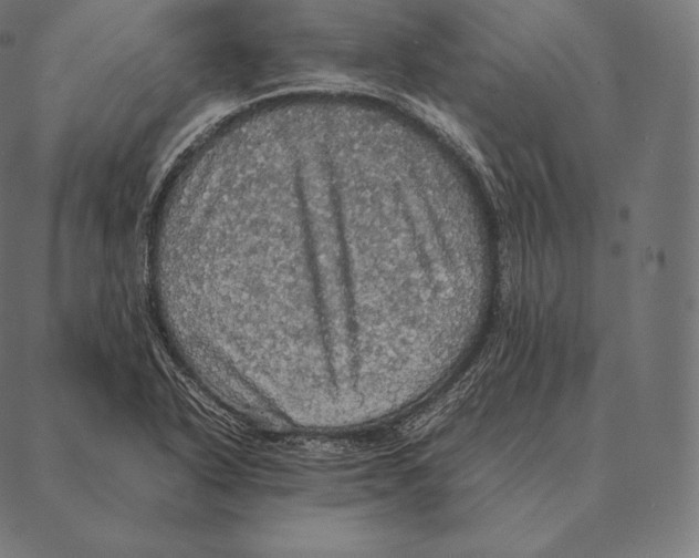 X0000087371318200705181207