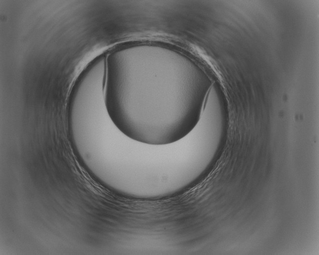 X0000087371320200705181207