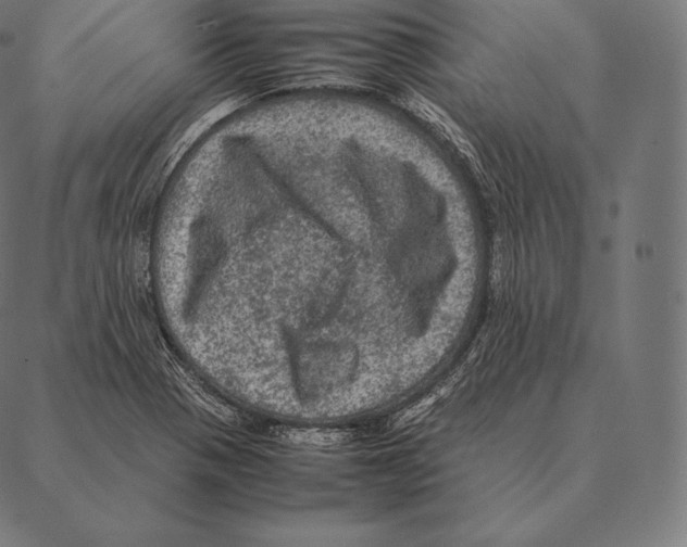 X0000087371321200705181207