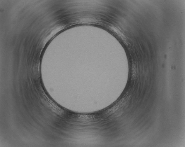 X0000087371322200705181207