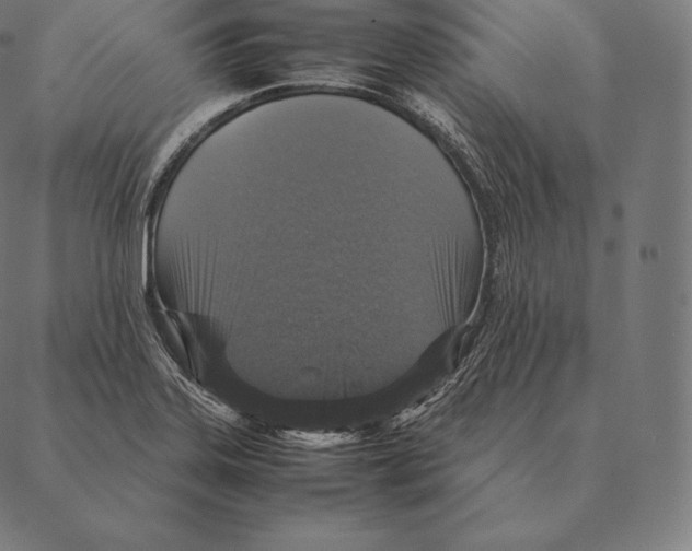 X0000087371323200705181207