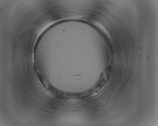 X0000087371324200705181207