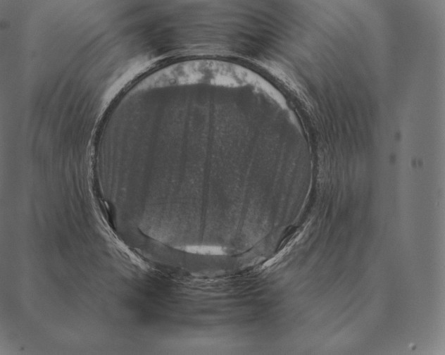 X0000087371325200705181207