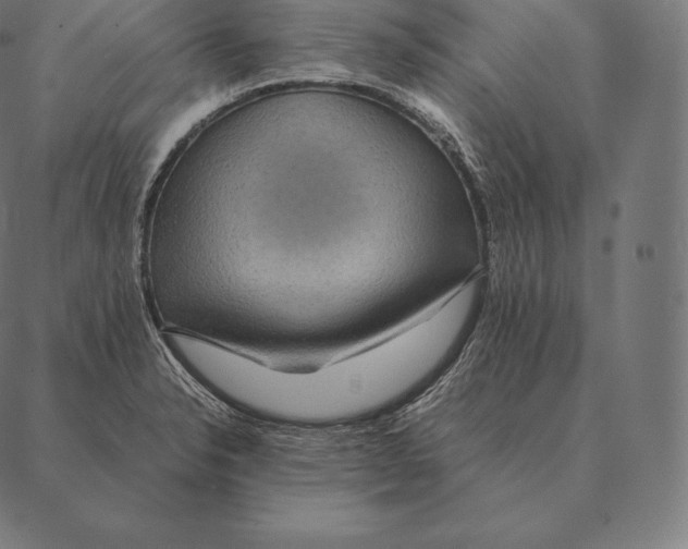 X0000087371326200705181207