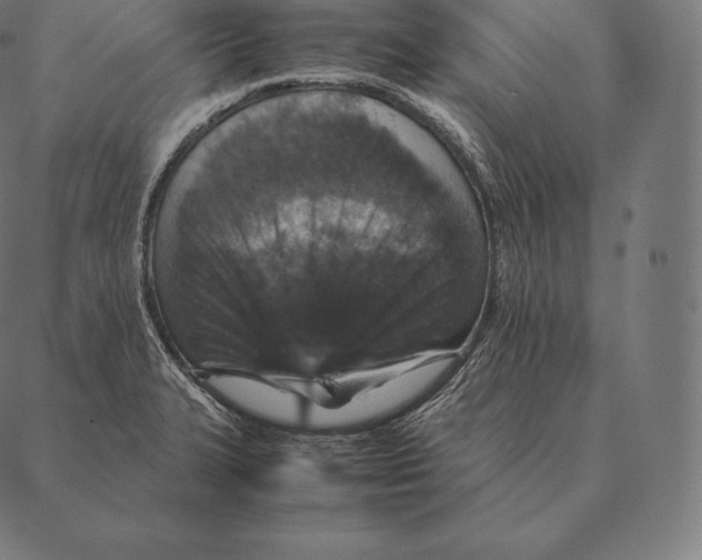 X0000087371327200705181207