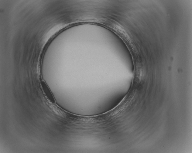 X0000087371328200705181207