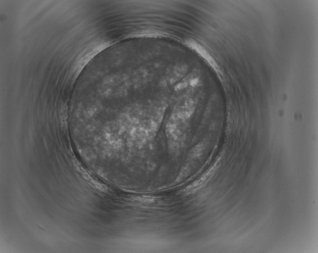 X0000087371329200705181207