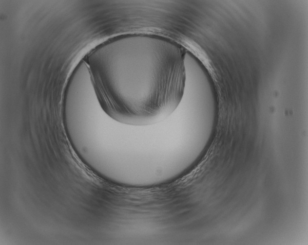 X0000087371332200705181207