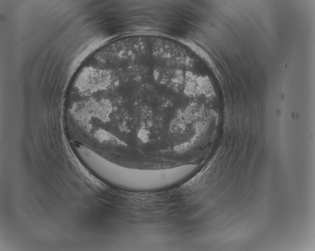 X0000087371333200705181207