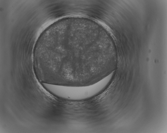 X0000087371335200705181207