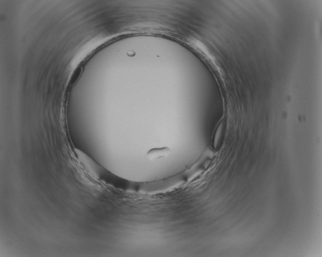 X0000087371336200705181207