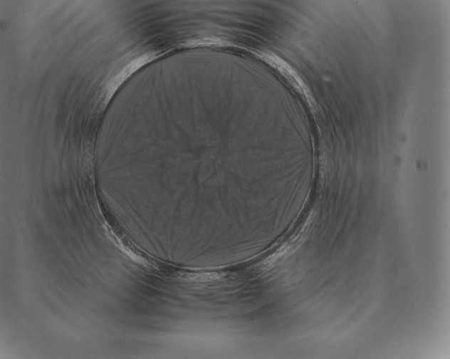 X0000087371337200705181207