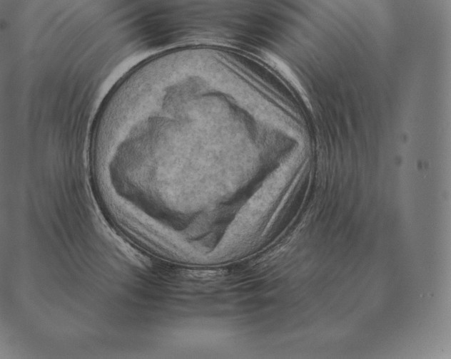 X0000087371339200705181207