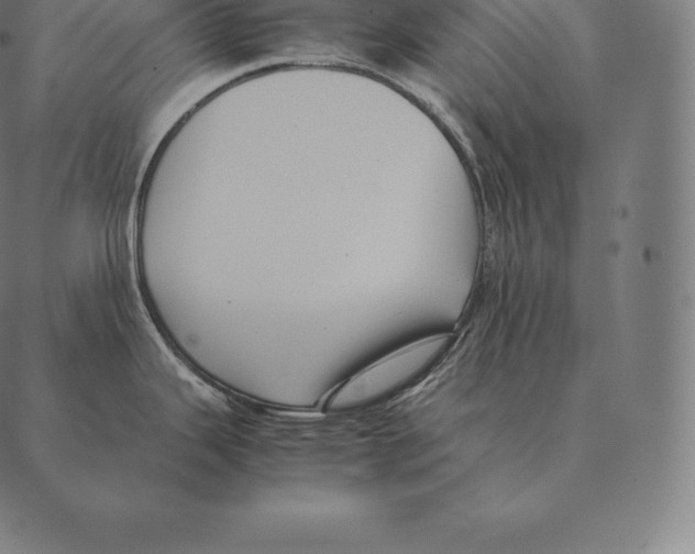 X0000087371343200705181207