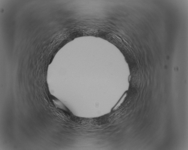 X0000087371345200705181206