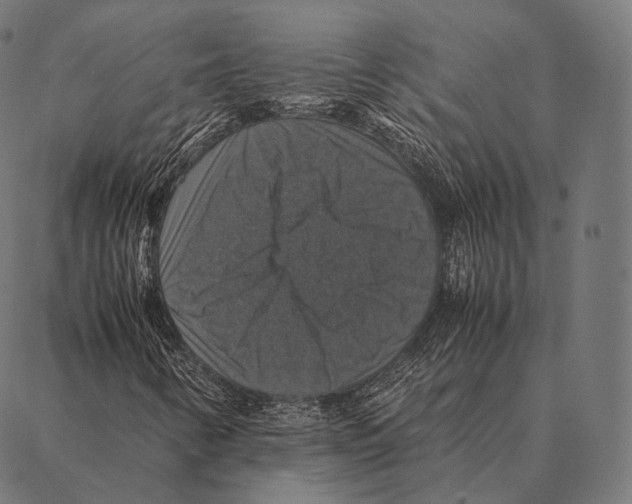 X0000087371346200705181206