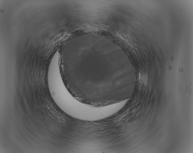 X0000087371348200705181206