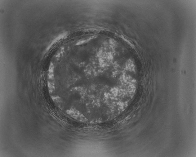 X0000087371351200705181206