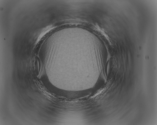 X0000087371352200705181206