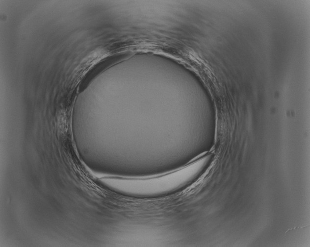 X0000087371353200705181206