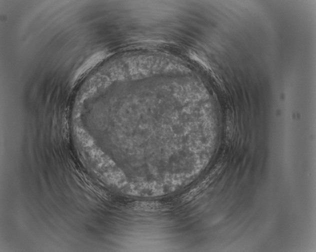 X0000087371354200705181206