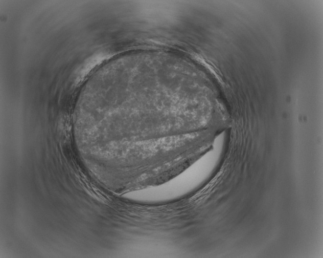 X0000087371355200705181206