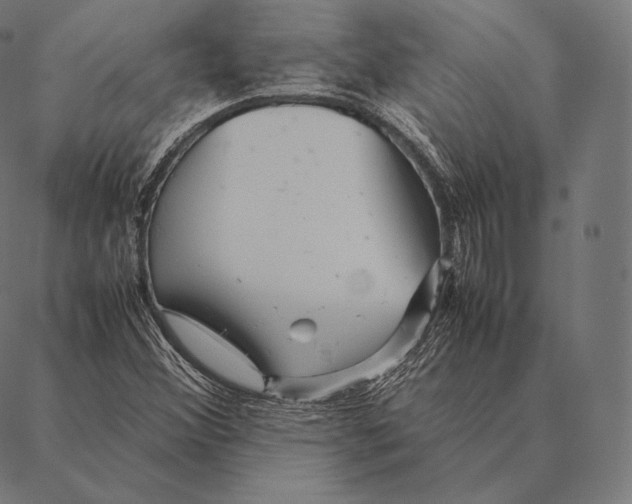 X0000087371356200705181206