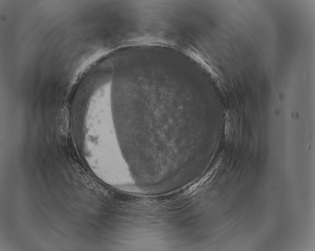 X0000087371358200705181206