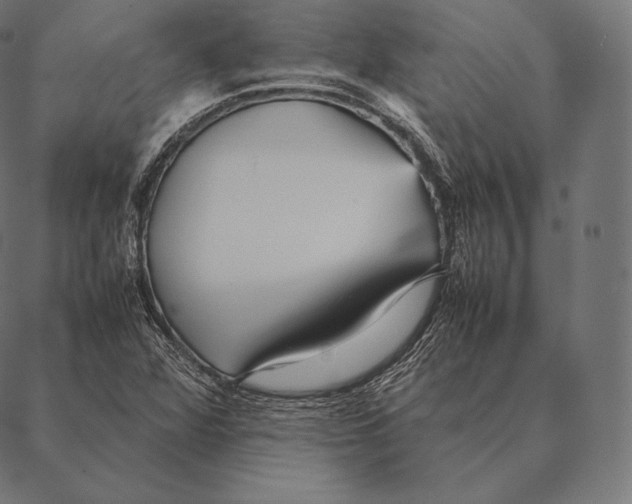 X0000087371360200705181206