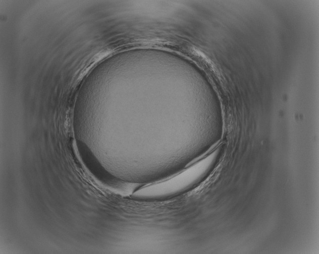 X0000087371361200705181206