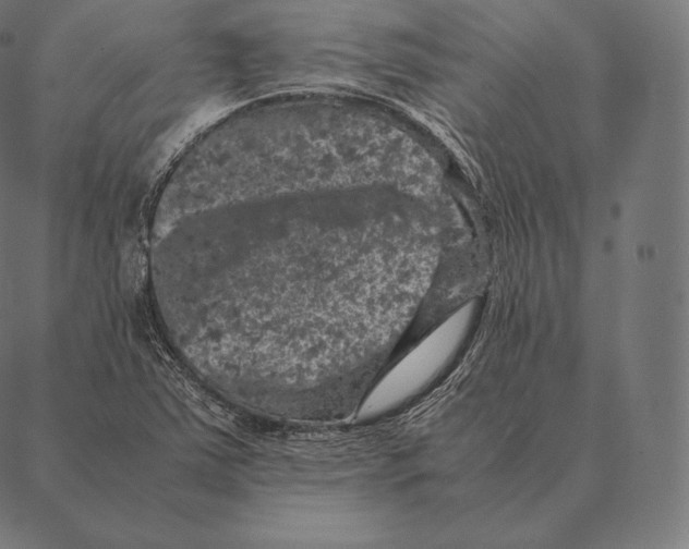 X0000087371363200705181206