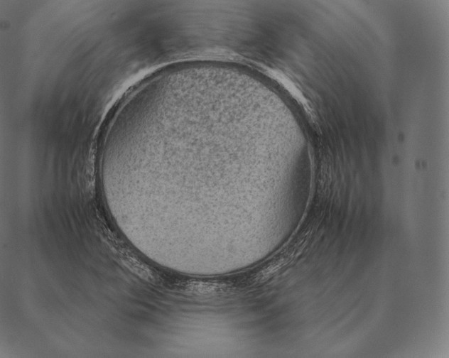 X0000087371364200705181206